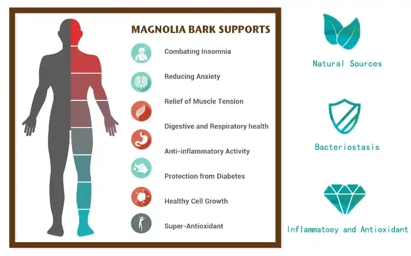 Magnolia Bark Extract Powder.jpg